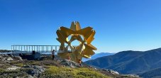 Flower of the Alpine Sun 