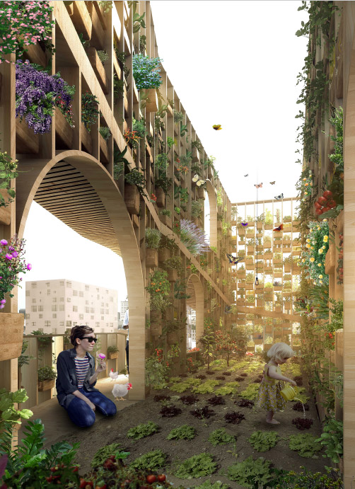 © DGT architects © DGT architects