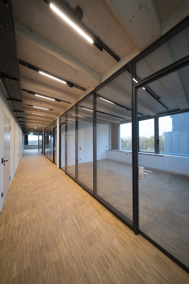  &copy; Friedemann Steinhausen