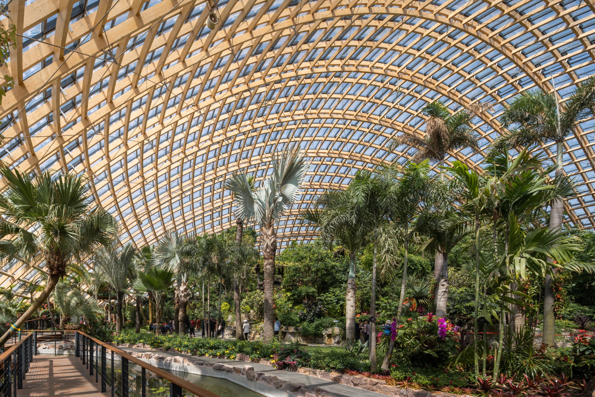 Interior of Tropical Dome, Taiyuan Botanical Garden