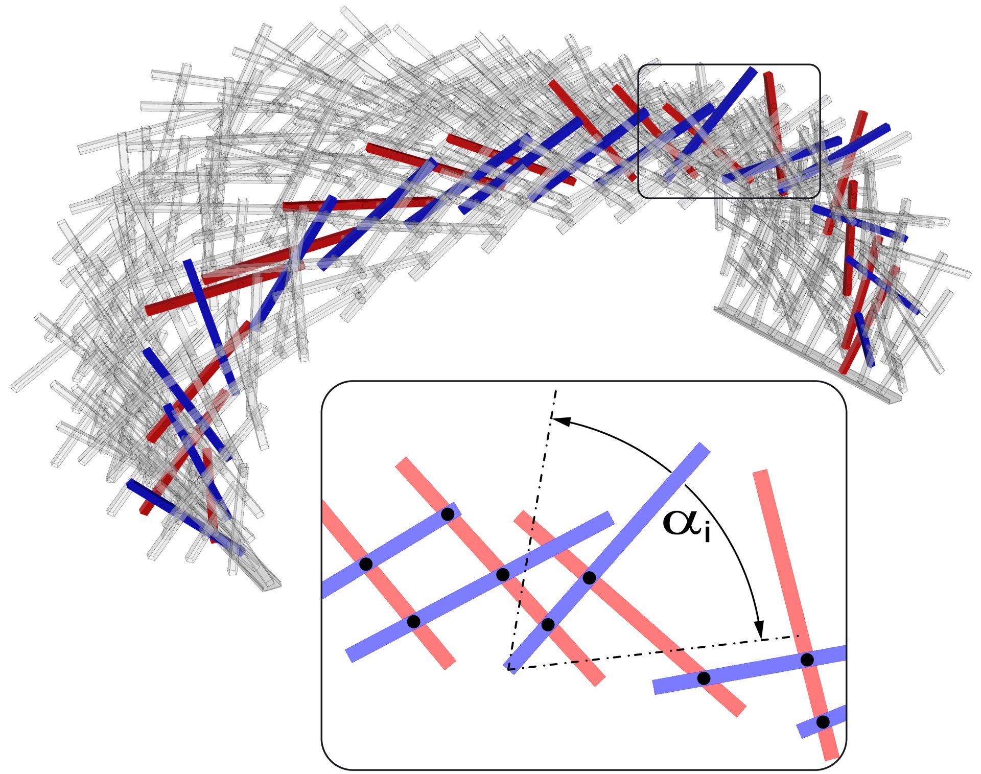 Parametric model used for a structural optimisation of White Noise